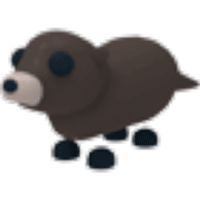 Otter - Common from Regular Egg